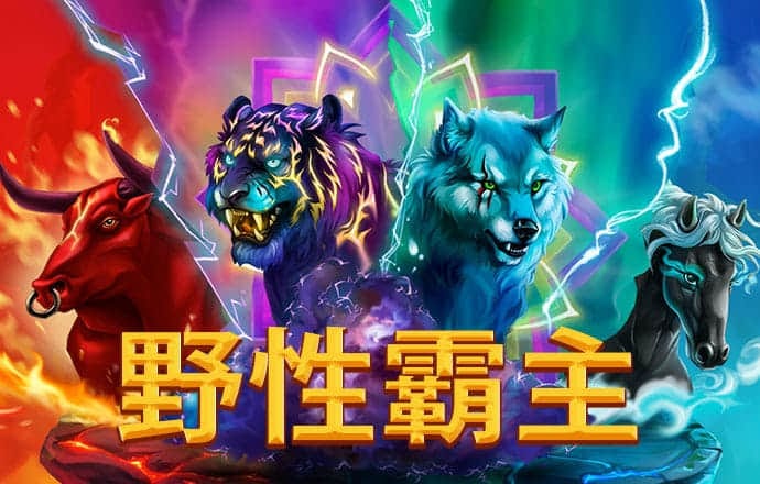 ng南宫28官网